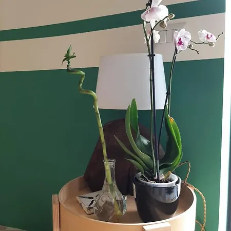 Le Di Luvi * 놀라